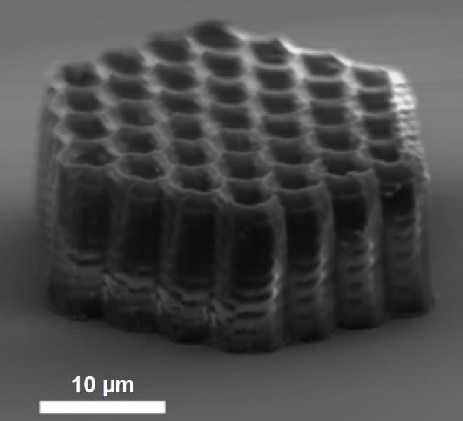 This alveolar honeycomb microstructure was created to study the formation of basal protrusions in epithelial sheets